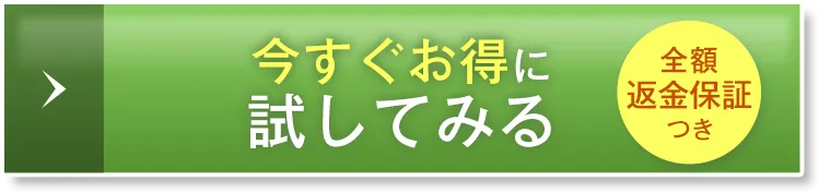 今すぐお得に試してみる