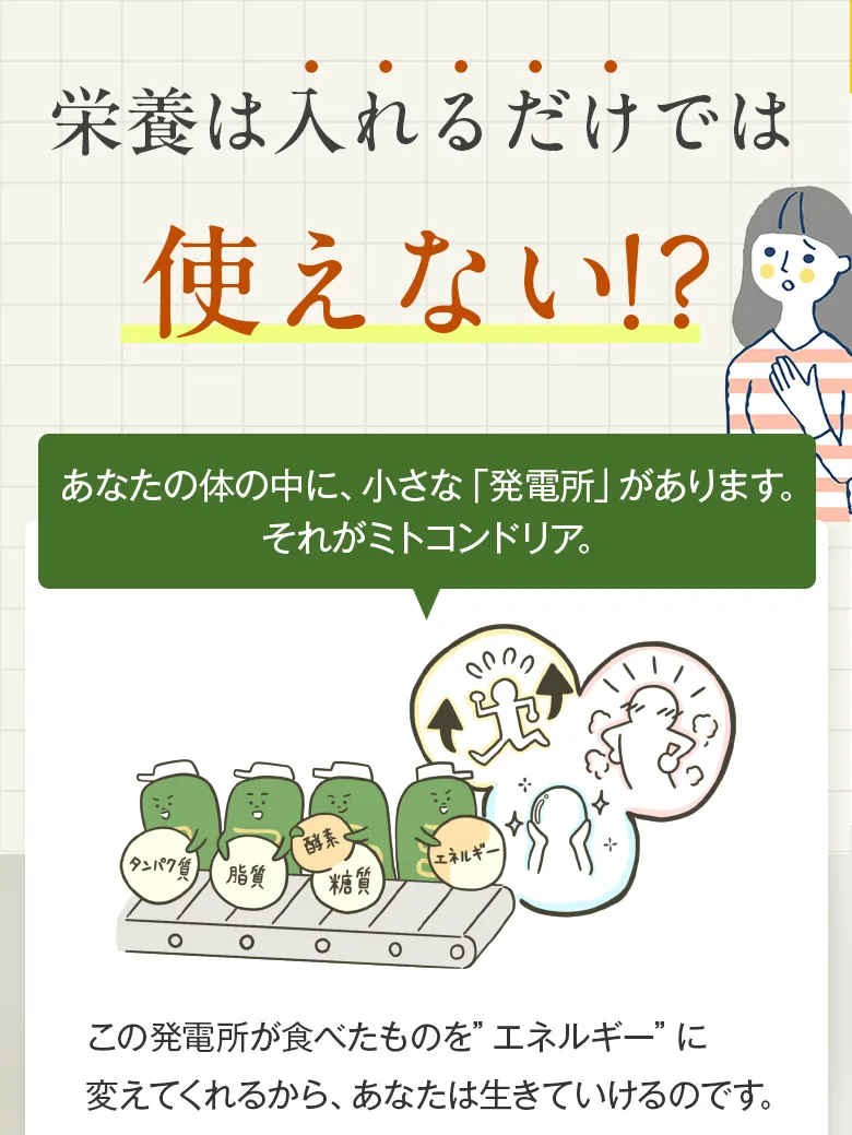 栄養は入れるだけでは使えない